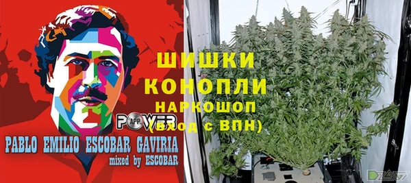 Альфа ПВП Аркадак