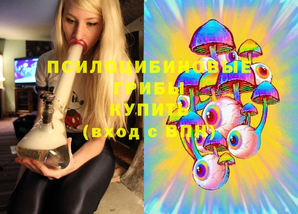 Альфа ПВП Аркадак