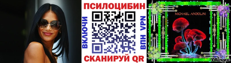 Галлюциногенные грибы прущие грибы  блэк спрут маркетплейс  Бабаево  цена  